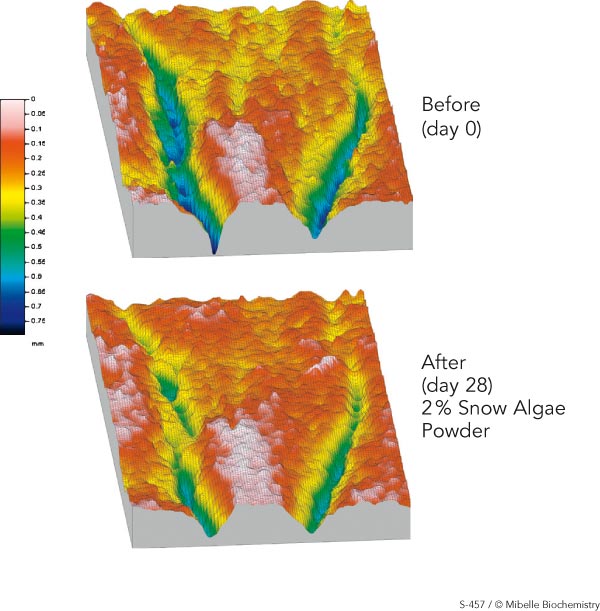 Snow Algae Powder after 28 days.